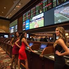 pj365 Basketball Betting aur Live Gaming Platform